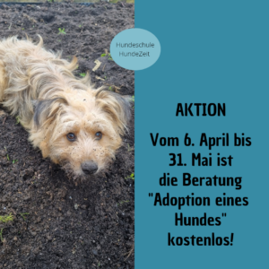 Aktion Beratung vor der Adoption Aktion: Beratung wird gratis