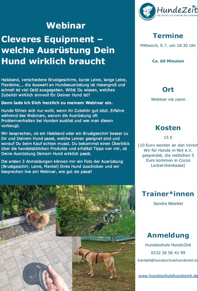 Screenshot 2025-06-18 230630 Ausschreibung Webinar