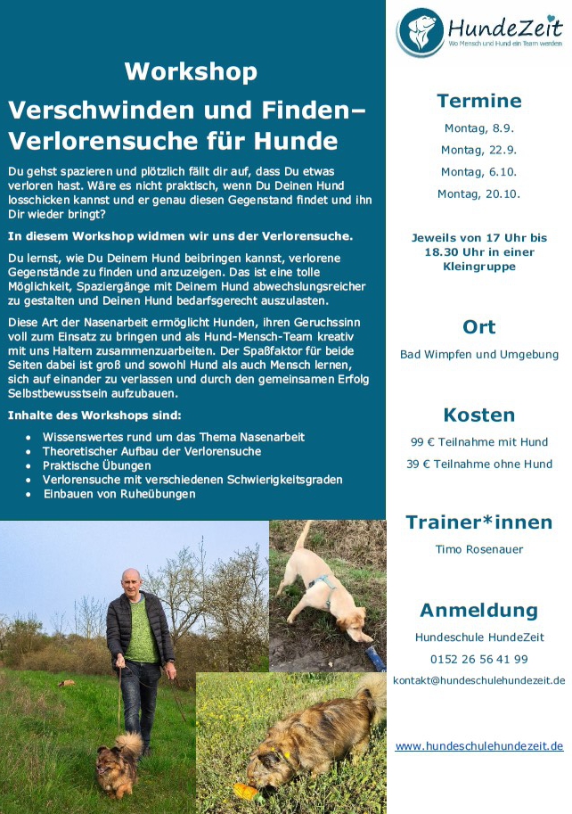 Screenshot 2025-07-04 091036 Ausschreibung Workshop