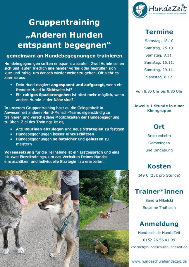 Gruppentraining Hundebegegnung