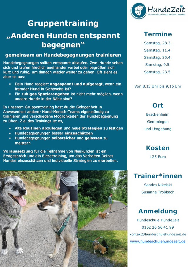 Workshop Hundebegegnung