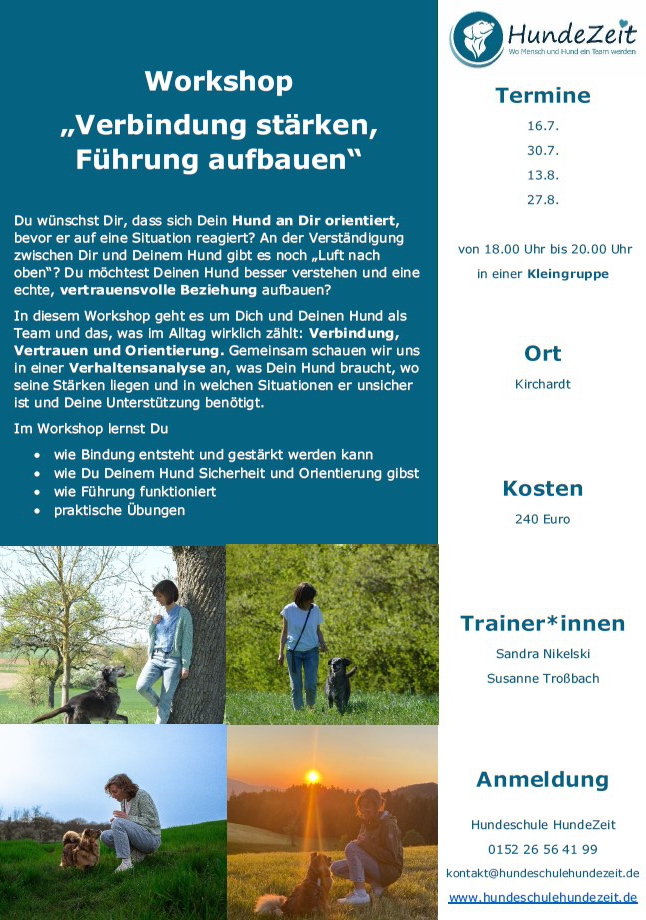 Workshop, Verbindung stärken, Führung aufbauen