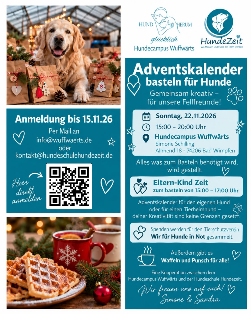 Adventskalender_NEU Weihnachtsaktion